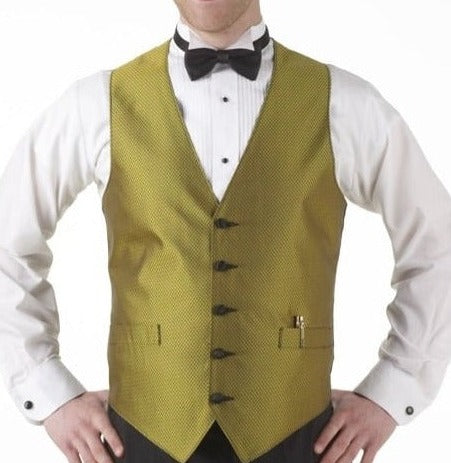 Men's Gold Apex Print Vest and Tie Set