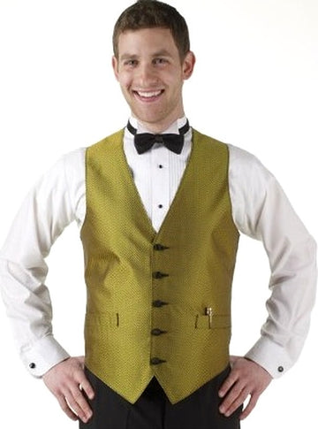 Men's Gold Apex Print Vest and Tie Set
