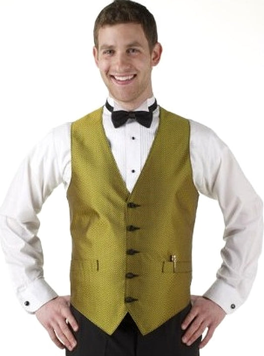 Men's Gold Apex Print Vest and Tie Set