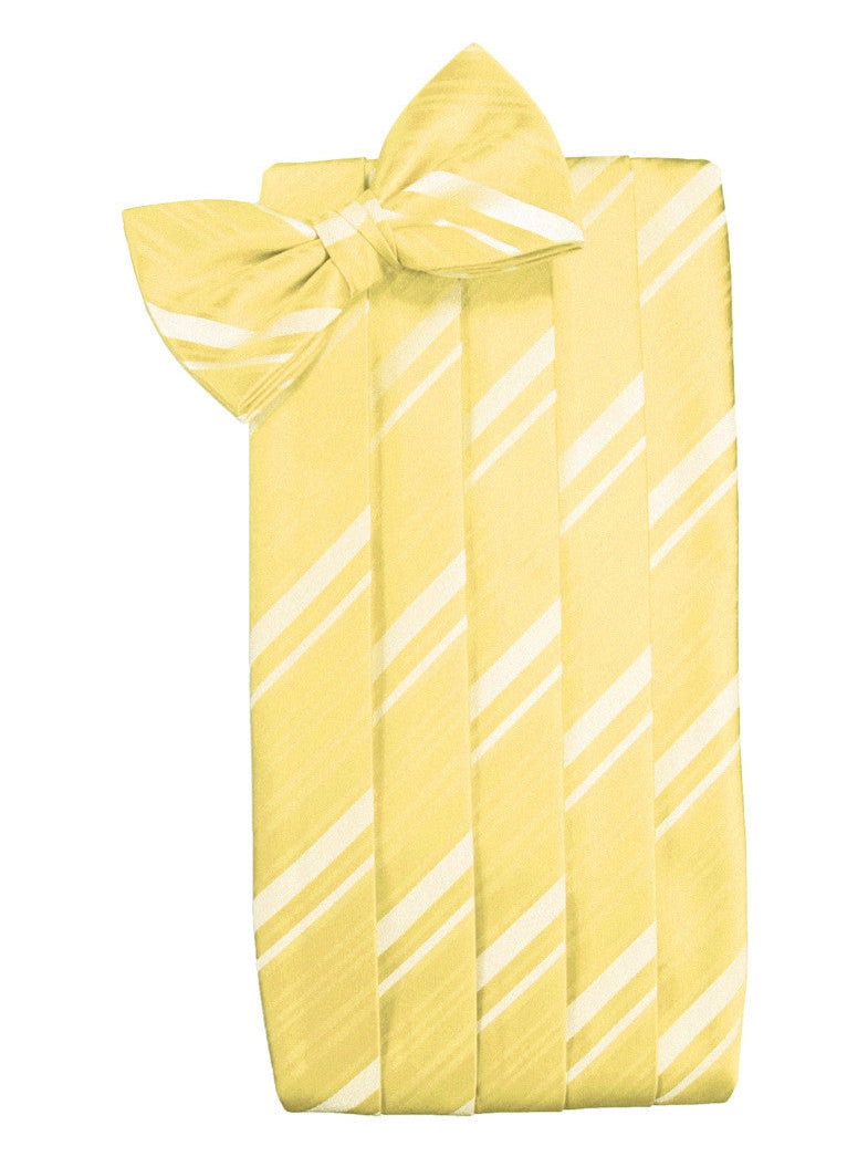 Sunbeam Striped Satin Cummerbund Set