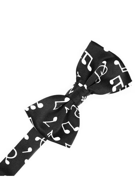 Musical Notes Print Formal Bow Tie