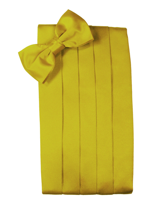 Willow Premier Satin Cummerbund Set