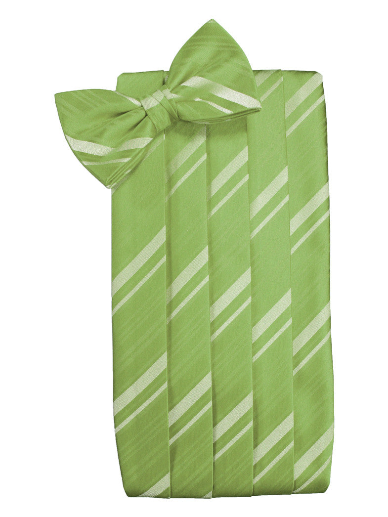 Clover Green Striped Satin Cummerbund Set