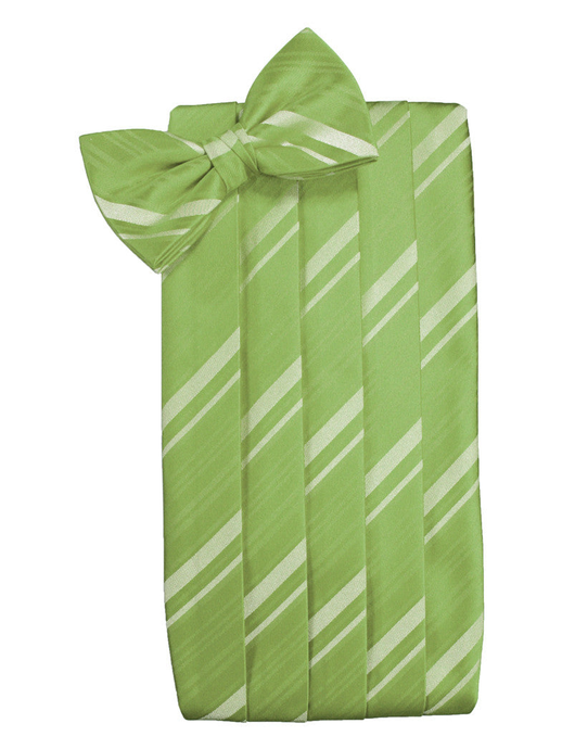 Clover Green Striped Satin Cummerbund Set