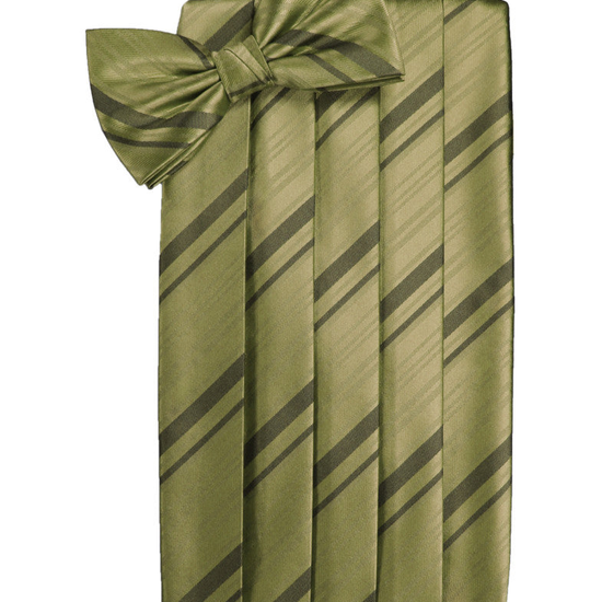 Fern Striped Satin Cummerbund Set