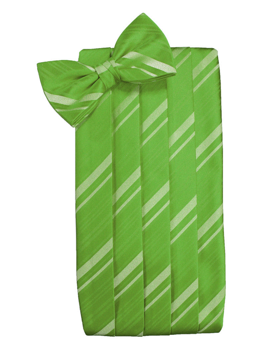 Kelly Green Striped Satin Cummerbund Set