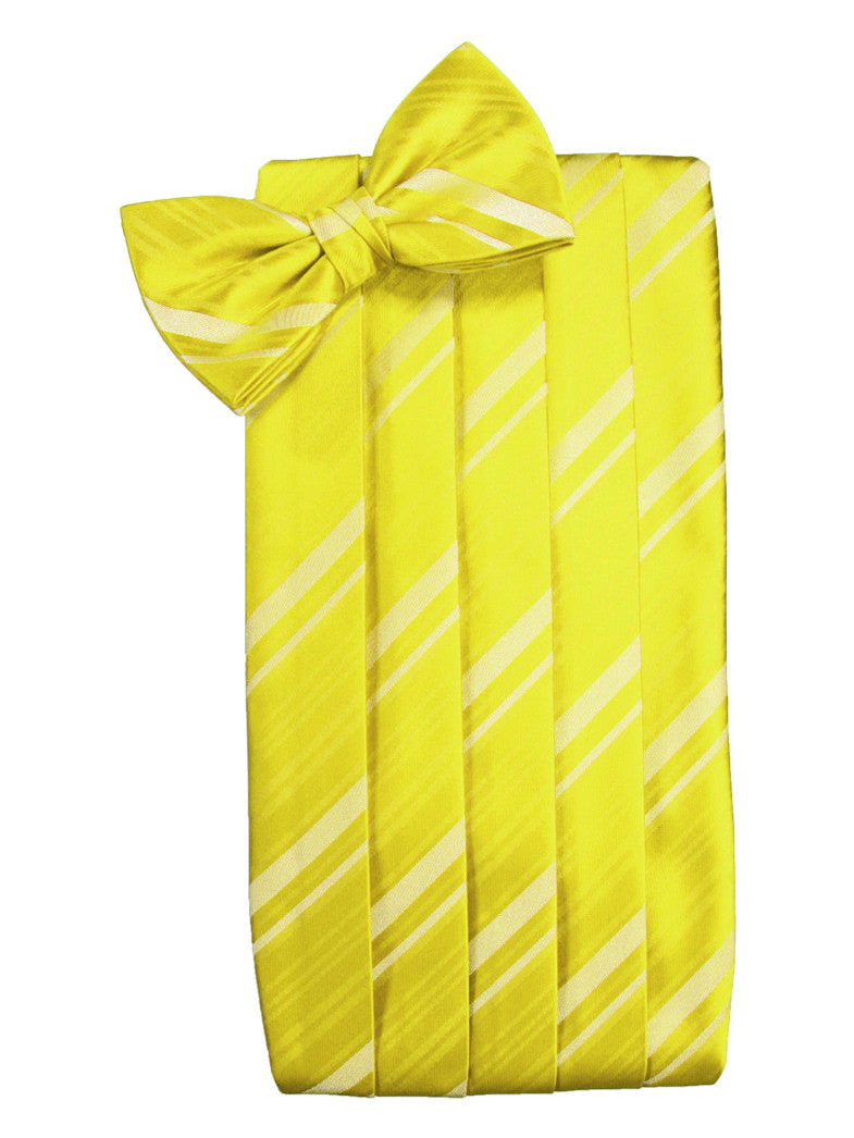 Lemon Striped Satin Cummerbund Set