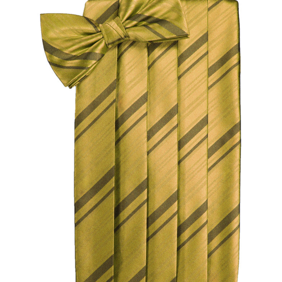 New Gold Striped Satin Cummerbund Set