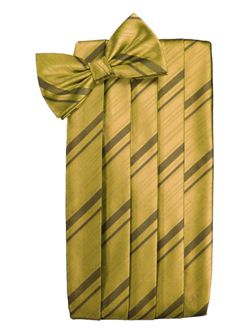 New Gold Striped Satin Cummerbund Set