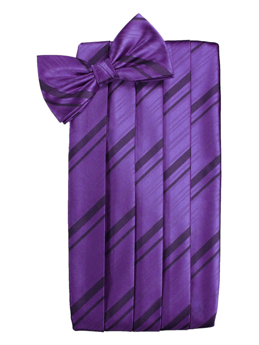 Purple Striped Satin Cummerbund Set