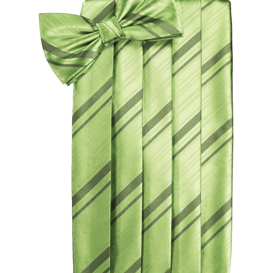 Sage Striped Satin Cummerbund Set