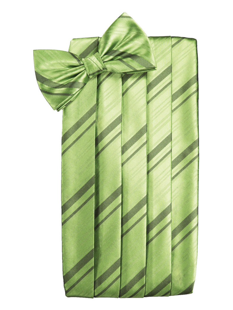 Sage Striped Satin Cummerbund Set