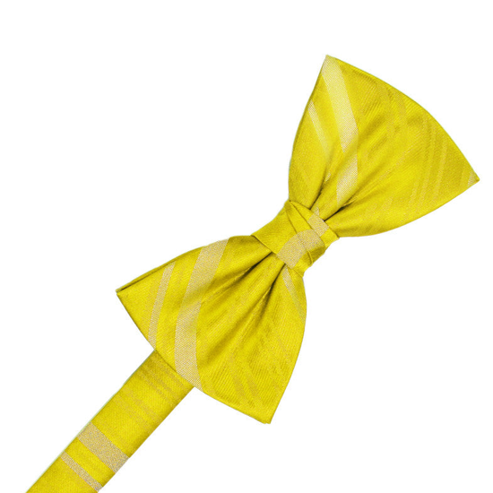 Sunbeam Striped Satin Formal Bow Tie