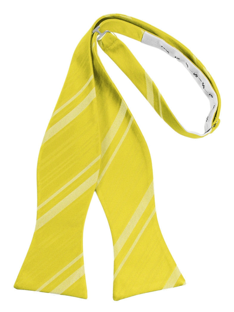 Sunbeam Striped Satin Self-Tie Formal Bow Tie