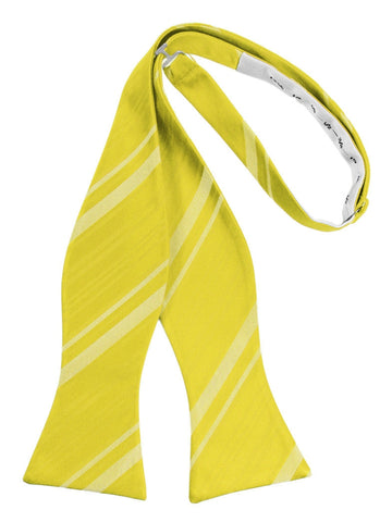 Sunbeam Striped Satin Self-Tie Formal Bow Tie