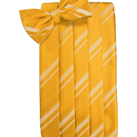 Tangerine Striped Satin Cummerbund Set