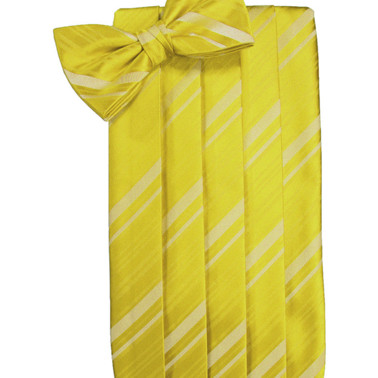 Willow Striped Satin Cummerbund Set