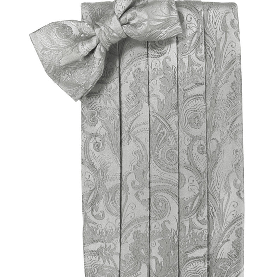 Platinum Tapestry Cummerbund Set in "Premier" Satin