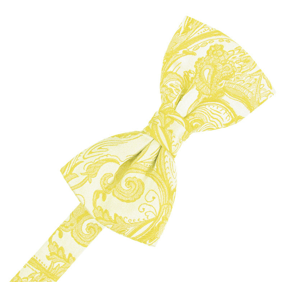 Sunbeam Tapestry Formal Bow Tie