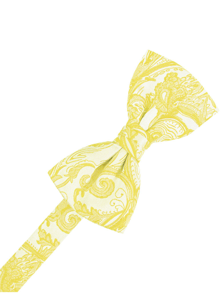 Sunbeam Tapestry Formal Bow Tie