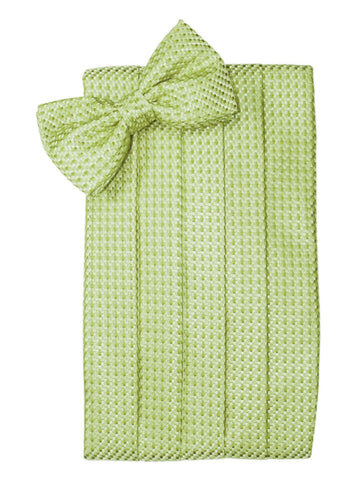 Lime Venetian Cummerbund Set 
