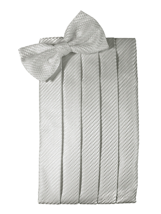 Platinum Venetian Cummerbund Set 